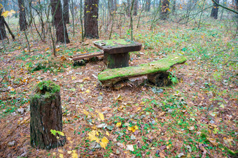 的地方的森林放松表格和板凳上的森林木板凳上覆盖与莫斯表格和板凳上的森林木板凳上覆盖与莫斯
