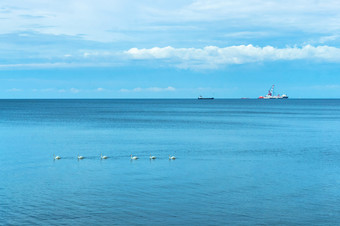 群天鹅的海蓝色的海和蓝色的天空蓝色的海和蓝色的天空群天鹅的海