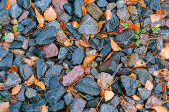 丘石头沿着的铁路干叶子之间的小石头干叶子之间的小石头丘石头沿着的铁路