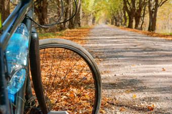 骑自行车的人秋天自行车的秋天森林自行车的秋天森林骑自行车的人秋天