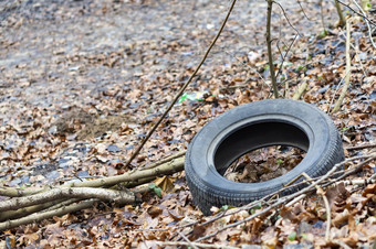 车轮胎的森林的轮的地面的轮的地面车轮胎的森林