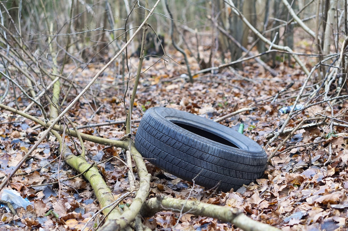 车轮胎的森林的轮的地面的轮的地面车轮胎的森林