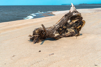 风景如画的障碍的沙子干障碍的海海岸干障碍的海海岸风景如画的障碍的沙子