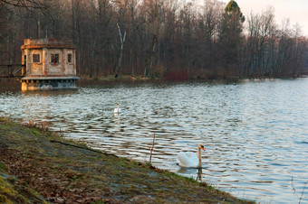 老观察甲板的池塘观察露台的湖巨人村伟大的池塘加里宁格勒地区俄罗斯