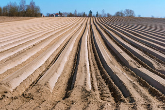 耕种场春天光滑的沟农业土地光滑的沟农业土地耕种场春天