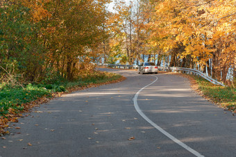 绕组路的秋天森林树与泛黄叶子的路边树与泛黄叶子的路边绕组路的秋天森林