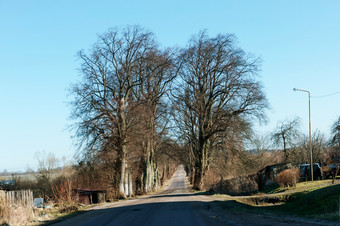 大树沿着的路二次路之间的村庄二次路之间的村庄大树沿着的路