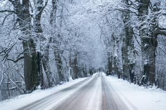 白雪覆盖的高速公路路的森林冬天路的森林冬天白雪覆盖的高速公路