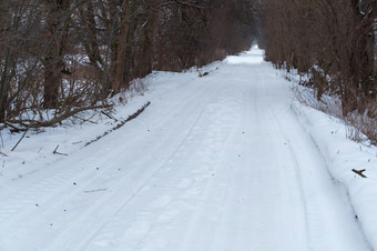 白雪覆盖的路的森林森林路冬天森林路冬天白雪覆盖的路的森林