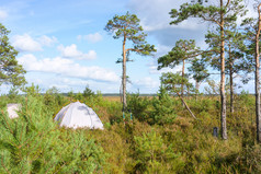 旅游营的沼泽野营帐篷的湿地野营帐篷的湿地旅游营的沼泽
