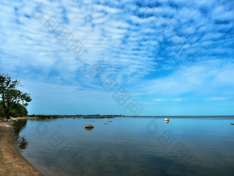 群鸟的海岸储层海鸟取从从的海岸海鸟取从从的海岸群鸟的海岸储层