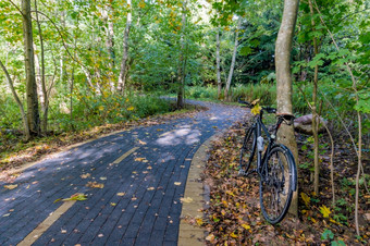 骑自行车的人骑通过的森林骑自行车通过的秋天森林放松和骑自行车的秋天骑自行车通过的秋天森林放松和骑自行车的秋天骑自行车的人骑通过的森林
