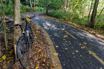 骑自行车通过的秋天森林放松和骑自行车的秋天骑自行车的人骑通过的森林放松和骑自行车的秋天骑自行车通过的秋天森林骑自行车的人骑通过的森林