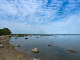 群鸟的海岸储层海鸟取从从的海岸海鸟取从从的海岸群鸟的海岸储层