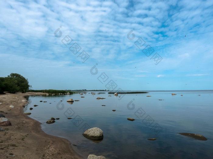 浅水岩石和鸬鹚自然储层和羊群鸟