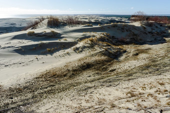 风景如画的海海岸高沙子沙丘库尔斯语随地吐痰的波罗的海海高沙子沙丘风景如画的海海岸库尔斯语随地吐痰的波罗的海海
