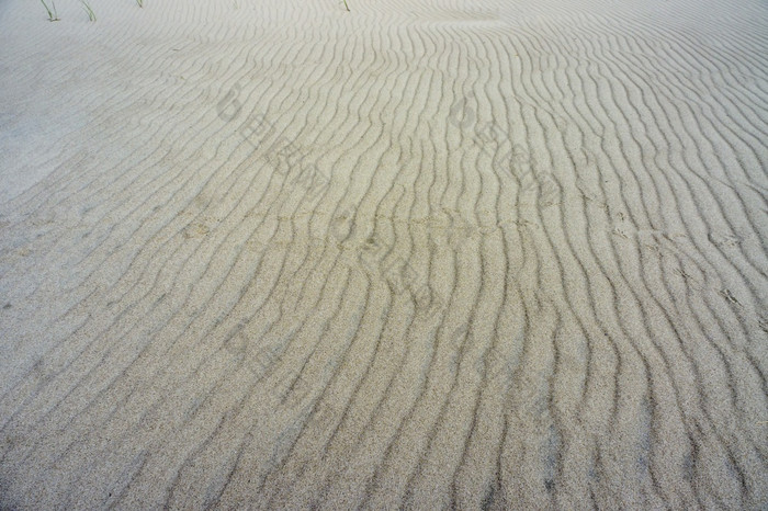 自然海沙子和河沙子海沙子桑迪背景桑迪纹理海沙子桑迪背景桑迪纹理自然海沙子和河沙子