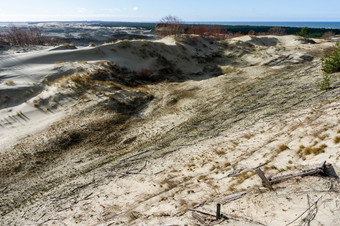风景如画的海海岸高沙子沙丘库尔斯语随地吐痰的波罗的海海高沙子沙丘风景如画的海海岸库尔斯语随地吐痰的波罗的海海