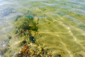 透明的清晰的水的水自然卵石的底的水自然卵石的底透明的清晰的水
