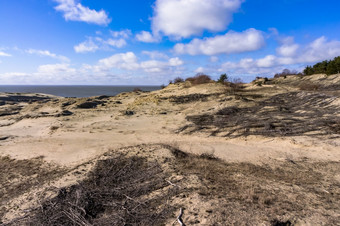 高沙子沙丘风景如画的海海岸库尔斯语随地吐痰的波罗的海海的海岸的波罗的海海高沙子沙丘风景如画的海海岸库尔斯语随地吐痰的波罗的海海