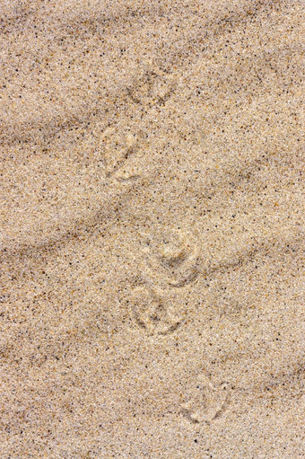 桑迪背景桑迪纹理海沙子自然海沙子和河沙子垂直海沙子桑迪背景桑迪纹理自然海沙子和河沙子
