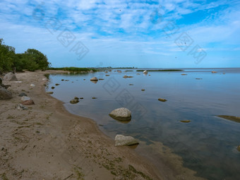 群鸟的海岸储层<strong>海鸟</strong>取从从的海岸<strong>海鸟</strong>取从从的海岸群鸟的海岸储层