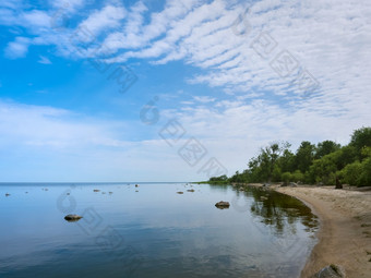 群鸟的海岸储层海鸟取从从的海岸海鸟取从从的海岸群鸟的海岸储层