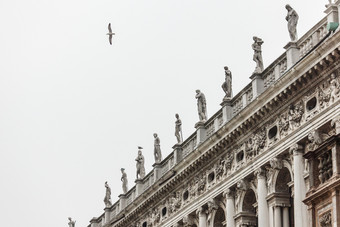 海鸥飞以上雕塑威尼斯图书馆意大利