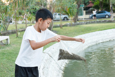 年轻的泰国男孩喂养鱼池塘