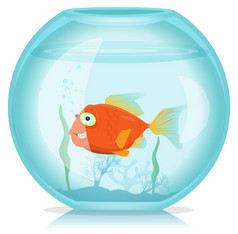 黄金鱼水族馆插图有趣的卡通单快乐黄金鱼生活的水族馆