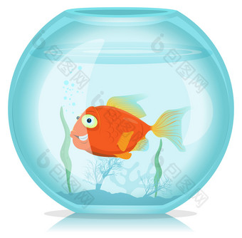黄金鱼水族馆插图有趣的卡通单快乐黄金鱼生活的水族馆