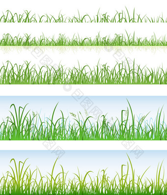 无缝的绿色草层插图集无缝的各种各样的层与薄叶片草为春天夏天<strong>景观建筑</strong>