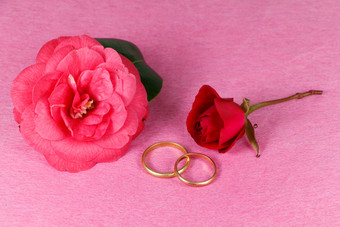 两个婚礼环红色的玫瑰和粉红色的山茶花花为情人节rsquo一天