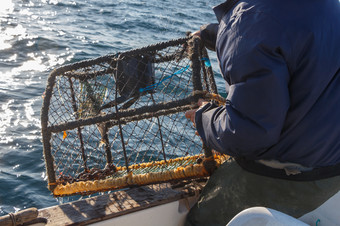 渔夫与油布夹克把回来龙虾能船布列塔尼