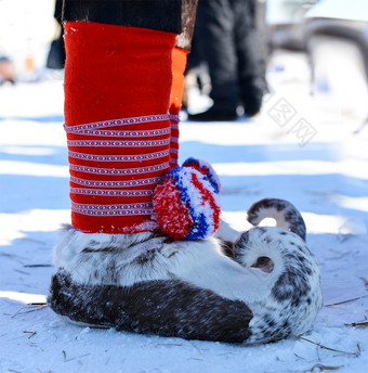 温暖<strong>的</strong>unta爱斯基摩斯蒂菲尔或inuitstiefel<strong>鞋子鞋子的</strong>国人民<strong>的</strong>北温暖<strong>的</strong>unta<strong>鞋子鞋子的</strong>国人民北爱斯基摩斯蒂菲尔或inuitstiefel