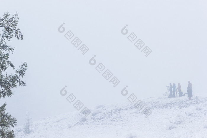雪树的雾神秘的大气集团摄影师的雾复制空间为文本
