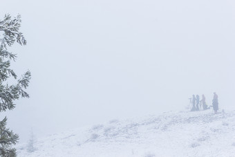 雪树的雾神秘的大气集团摄影师的雾复制空间为文本