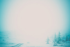 雪树的雾神秘的大气复制空间为文本