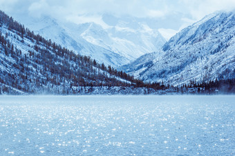 冬天湖与白雪覆盖的松树的银行的岩石山的阿尔泰山雾在的冬天湖