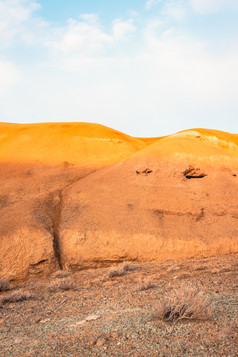干植物石头沙漠干旱高地浇水为植物全球气候变暖原因热