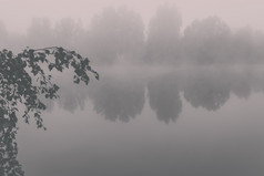 有雾的早....河树湖神秘的钓鱼池塘