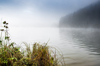雾在的表面水湖早....阴霾河