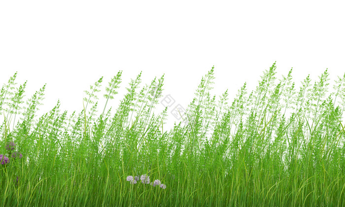 草