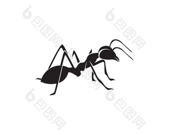 蚂蚁标志模板向量插图设计蚂蚁标志模板向量插图