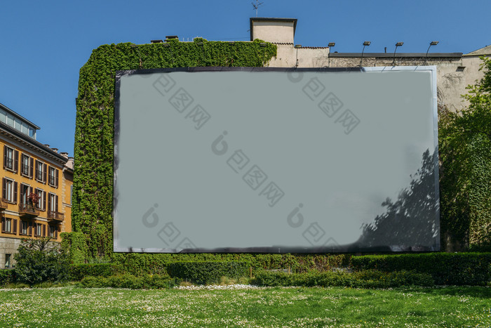 空白广告空间墙下一个草和葡萄树空白广告空间墙下一个草和葡萄树