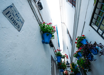 <strong>科尔多瓦</strong>西班牙小苣这些花著名的花能排街的历史中心小苣这些花<strong>科尔多瓦</strong>西班牙欧洲