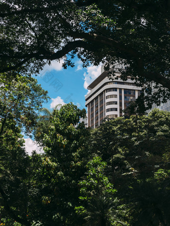 高上升住宅建筑被遮挡的郁郁葱葱的热带热带雨林<strong>植被</strong>理想的为书封面很多复制空间捕获美丽的奥里藏特巴西高上升住宅建筑被遮挡的郁郁葱葱的热带热带雨林<strong>植被</strong>