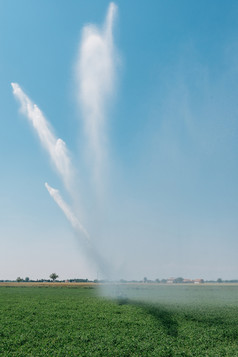 垂直图像农业喷水灭火系统系统垂直图像农业喷水灭火系统系统捕获意大利