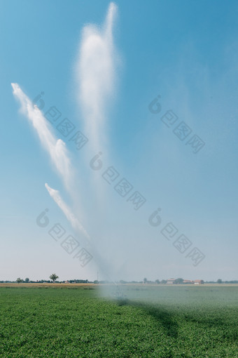垂直图像农业喷水灭火系统系统垂直图像农业喷水灭火系统系统捕获意大利
