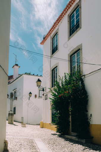 迷人的狭窄的鹅卵石小巷街之间的白色房子和墙老小镇管理葡萄牙迷人的狭窄的鹅卵石小巷街之间的白色房子和墙老小镇管理葡萄牙